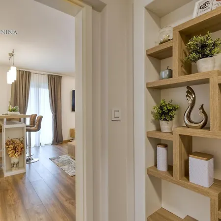 Apartment Nina Pazin Exterior foto