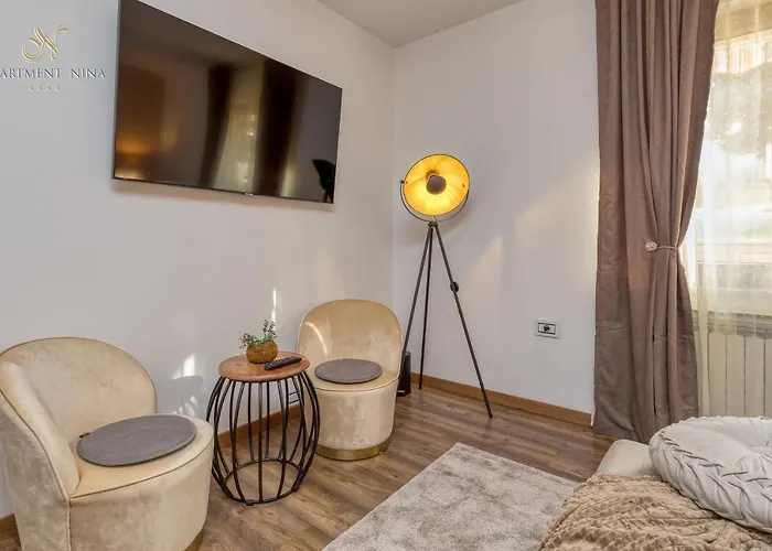 Apartment Nina Pazin